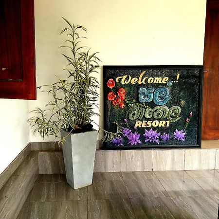Salmanel Resort Ratnapura Kültér fotó